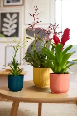 Elho Vibes Fold bloempot 14 cm delicate roze