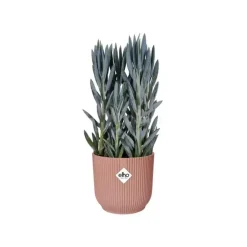 Elho Vibes Fold bloempot 14 cm delicate roze