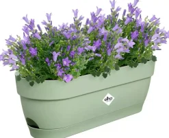 Elho Vibia Campana balkonbak 50 cm pistache groen