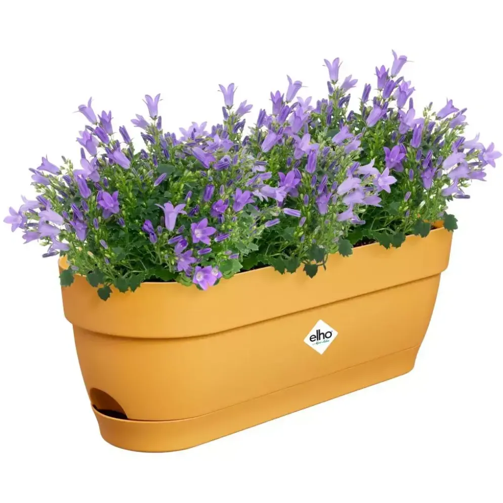 Elho Vibia Campana balkonbak 50 cm honing geel
