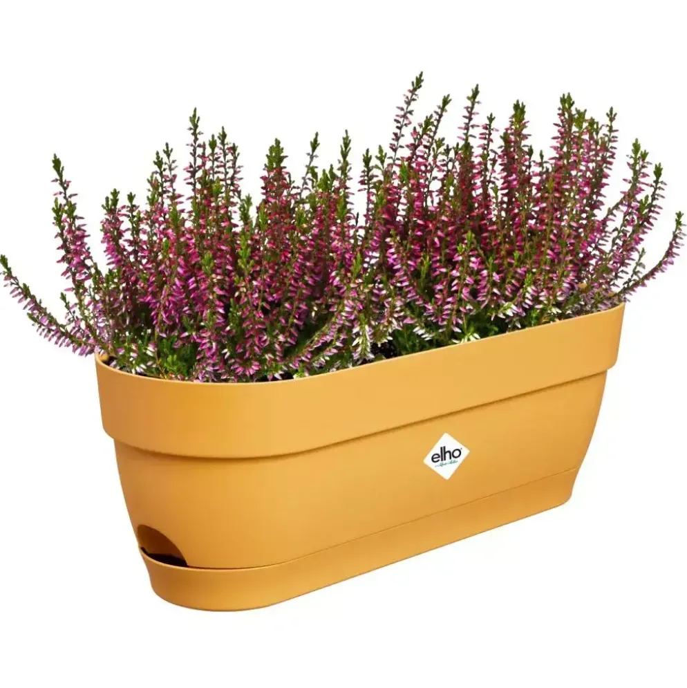 Elho Vibia Campana balkonbak 50 cm honing geel