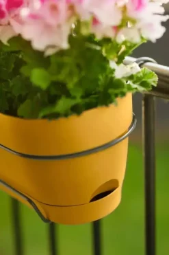 Elho Vibia Campana balkonbak 50 cm honing geel