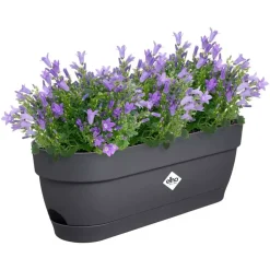 Elho Vibia Campana balkonbak 50 cm antraciet