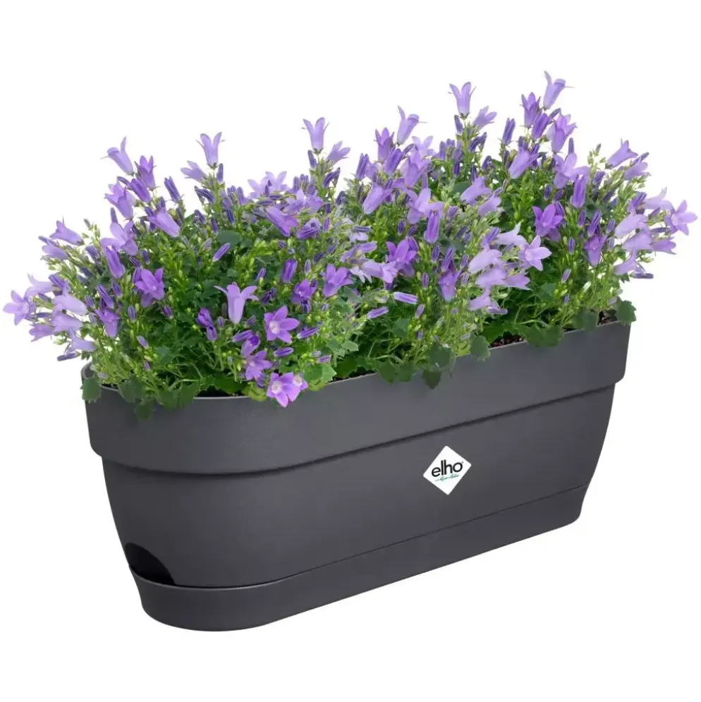 Elho Vibia Campana balkonbak 50 cm antraciet