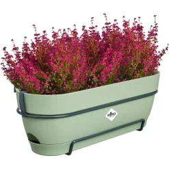 Elho Vibia Campana balkonbak Allin1 50 cm pistache groen