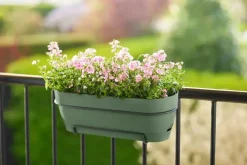Elho Vibia Campana balkonbak 70cm pistache groen