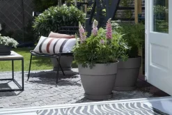 Elho Vibia Campana bloempot rond 35 cm living concrete