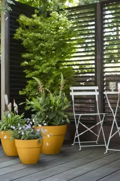 Elho Vibia Campana bloempot rond 30 cm honinggeel