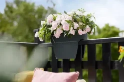 Elho Vibia Campana flower bridge 40 cm antraciet