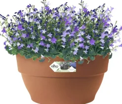 Elho Vibia Campana schaal rond 27 cm terra