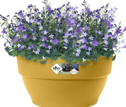 Elho Vibia Campana schaal rond 27 cm honinggeel