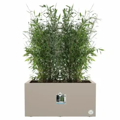 Elho vivo next plantenbak met wielen 60cm paddenstoel beige
