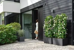 Elho Vivo Next plantenbak met wieltjes 80cm living black