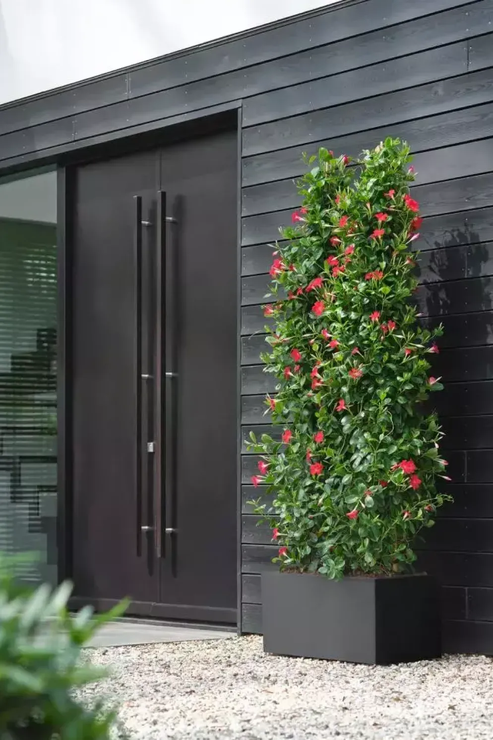 Elho Vivo Next plantenbak met wieltjes 80cm living black