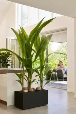 Elho Vivo Next plantenbak met wieltjes 80cm living black