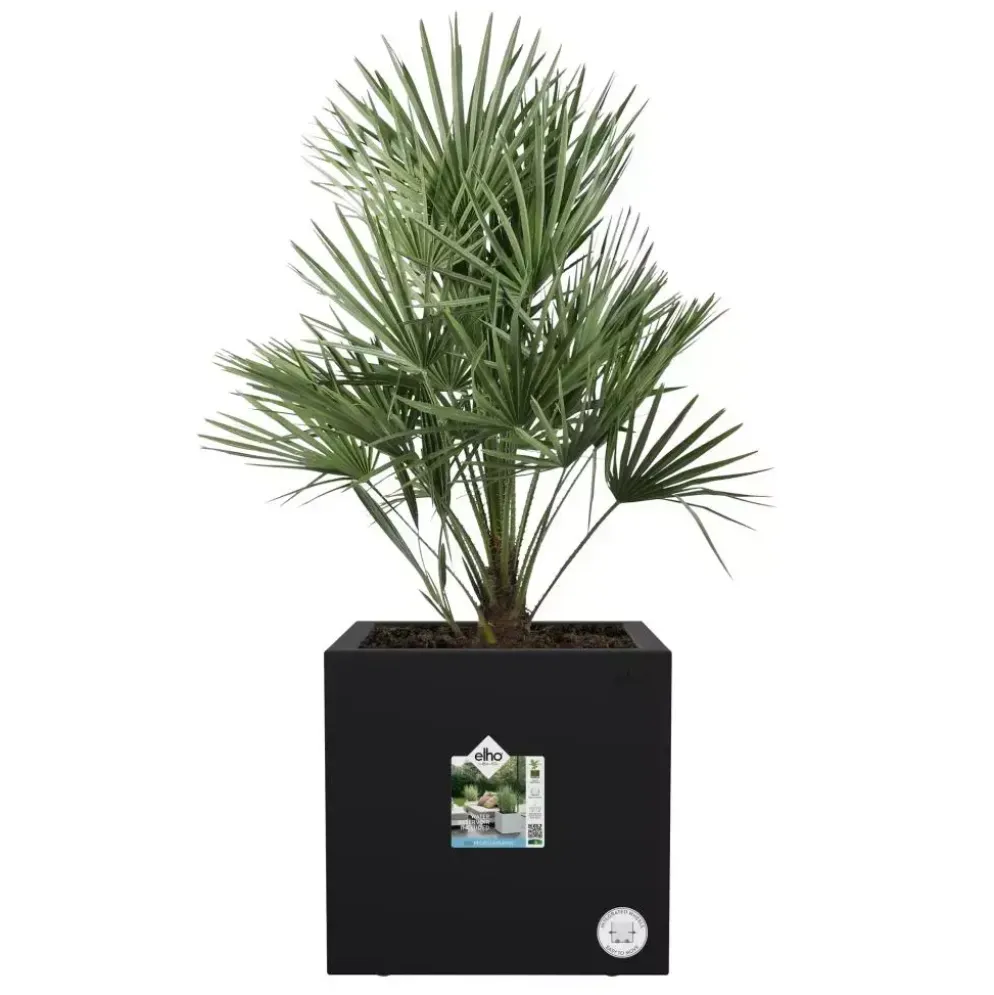 Elho Vivo next vierkant plantenbak met wielen 30cm living black