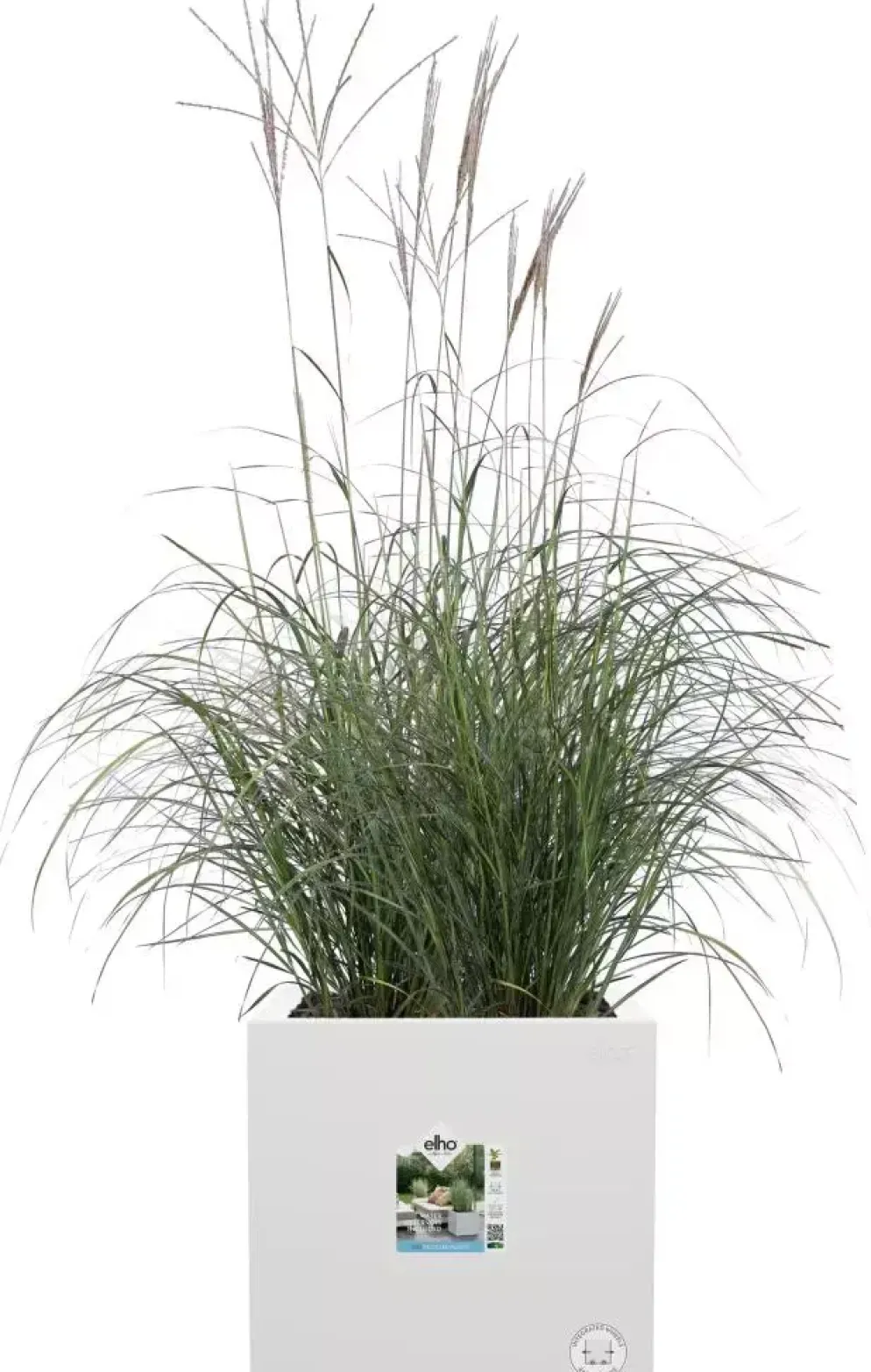 Elho Vivo Next vierkant plantenbak met wielen 40 cm Wit