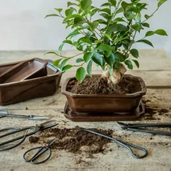 Esschert Design Bonsai Snoeischaar - S