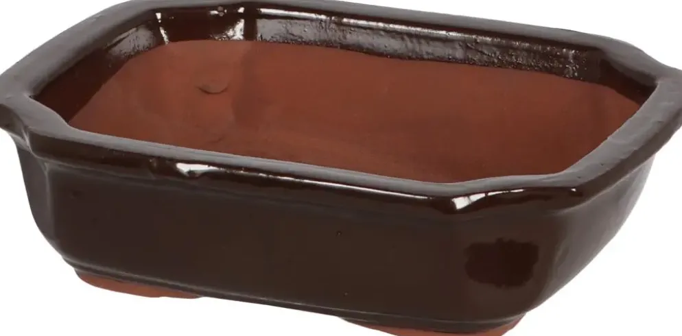 Esschert Design Pot Bonsai Rechthoekig S 20.5x14.8x5.6cm – Terracotta stijl voor je miniatuurbomen