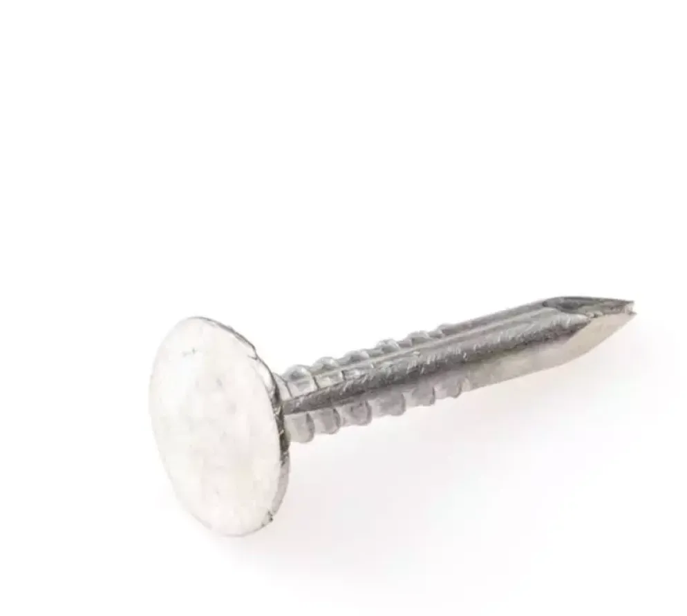 Eurofix asfaltnagel verzinkt 3,0x20 mm 350 gram