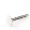 Eurofix asfaltnagel verzinkt 3,0x20 mm 100 gram