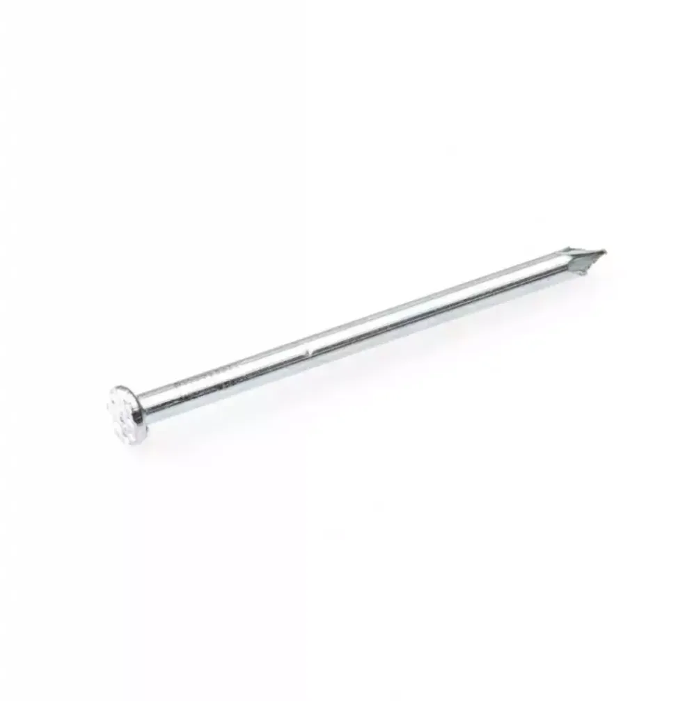 Eurofix Draadnagel pk verzinkt 3,0x65 mm 100 gram