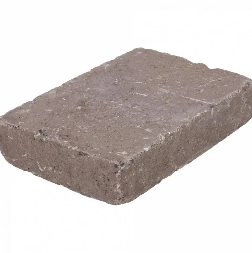 Excluton Abbeystones 20x30x6 cm Casamari