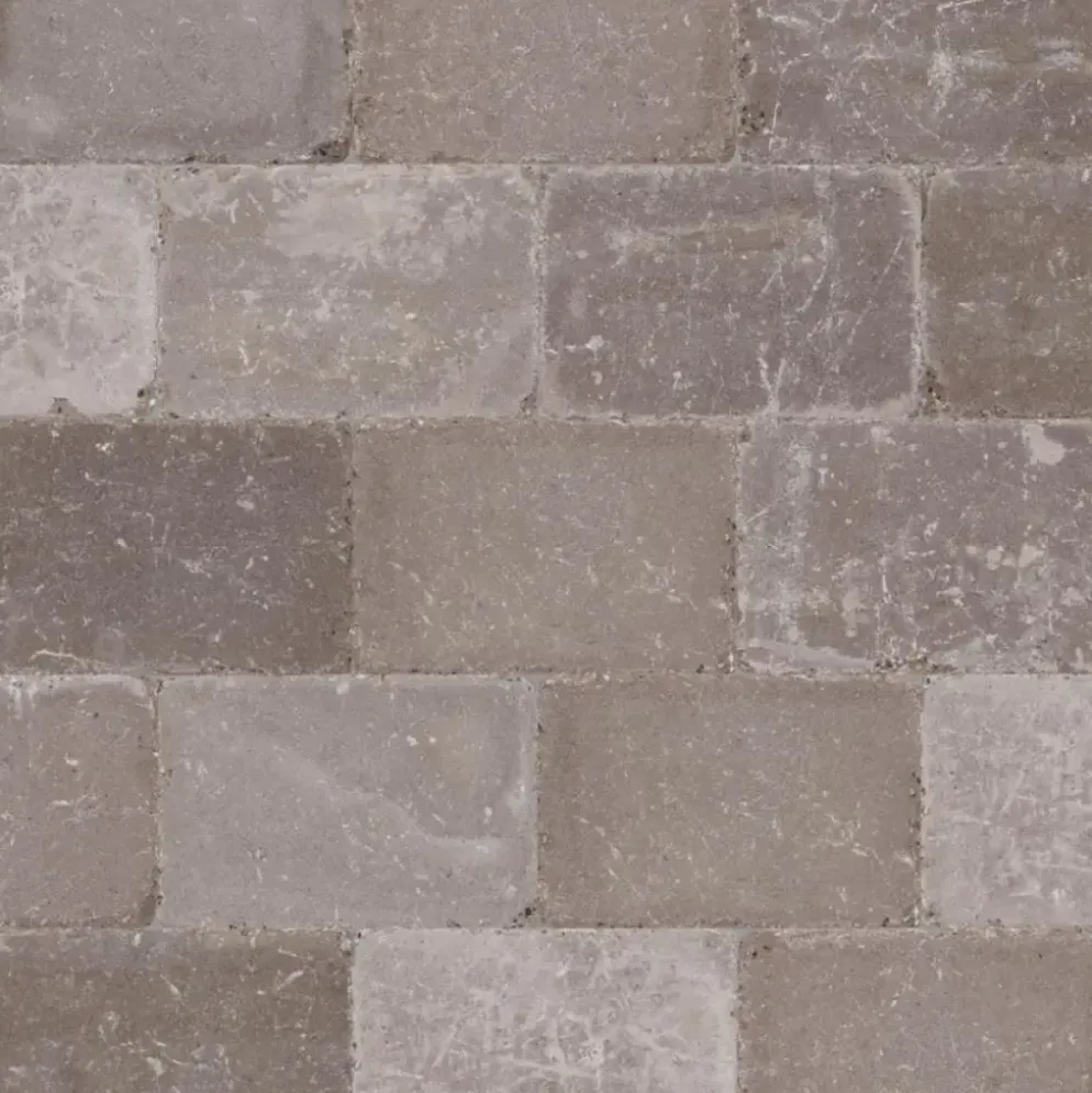 Excluton Abbeystones 20x30x6 cm Certosa