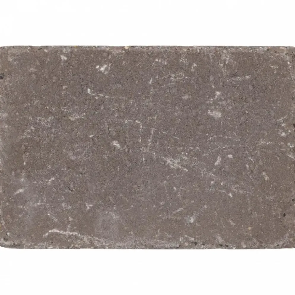 Excluton Abbeystones 20x30x6 cm Certosa
