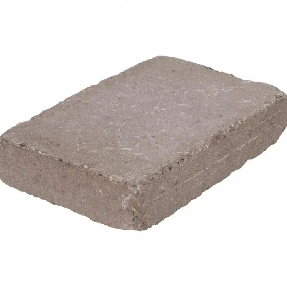 Excluton Abbeystones 20x30x6 cm Certosa