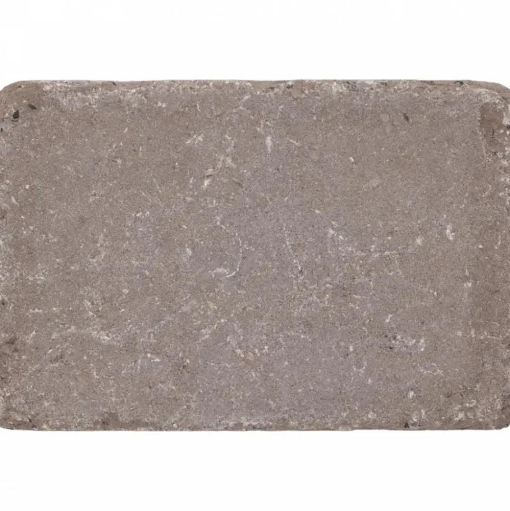 Excluton Abbeystones 20x30x6 cm Certosa