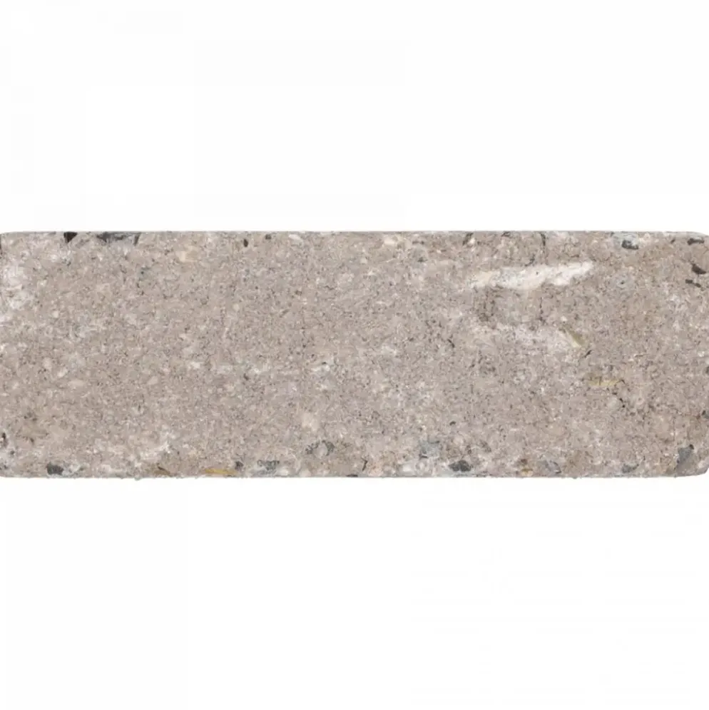 Excluton Abbeystones 15x5x7 cm Certosa