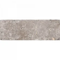 Excluton Abbeystones 15x5x7 cm Certosa