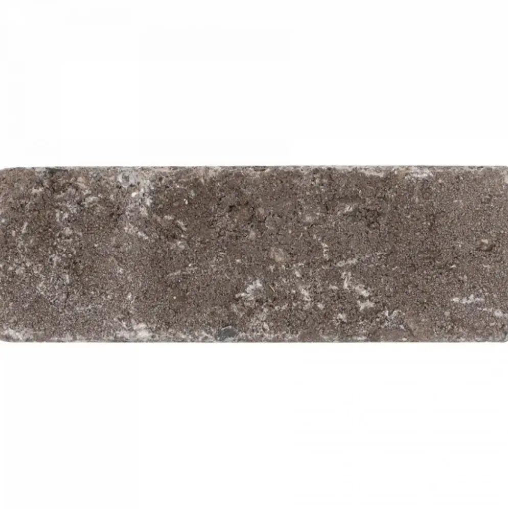 Excluton Abbeystones 15x5x7 cm Certosa