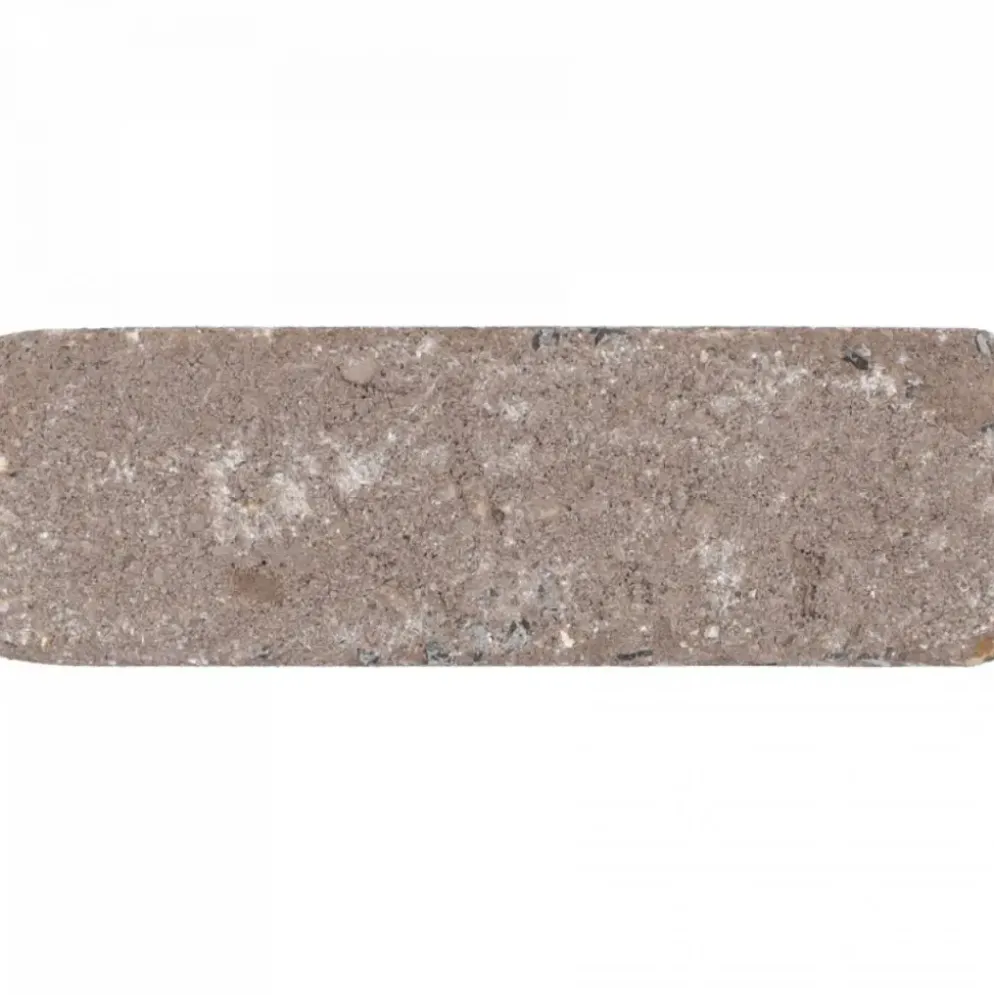 Excluton Abbeystones 15x5x7 cm Certosa