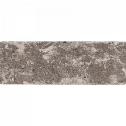 Excluton Abbeystones 15x5x7 cm Galgano
