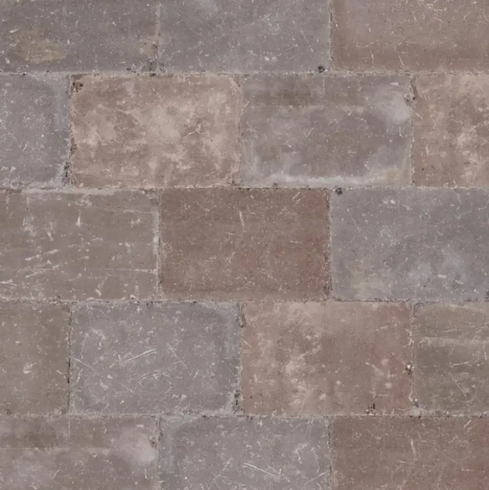 Excluton Abbeystones 20x30x6 cm Montecassio