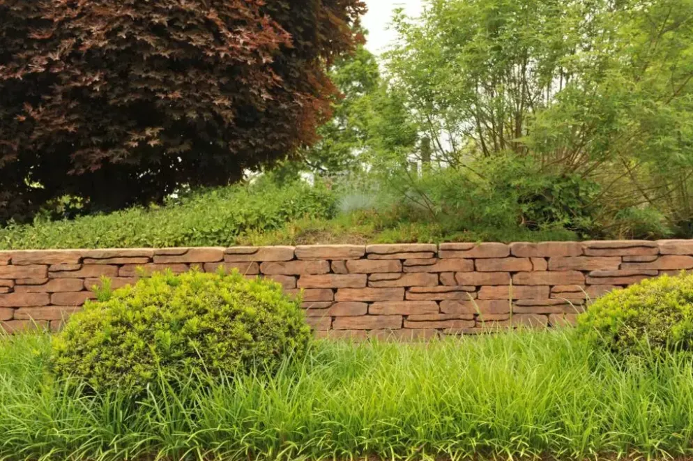 Excluton Stonewalling verona