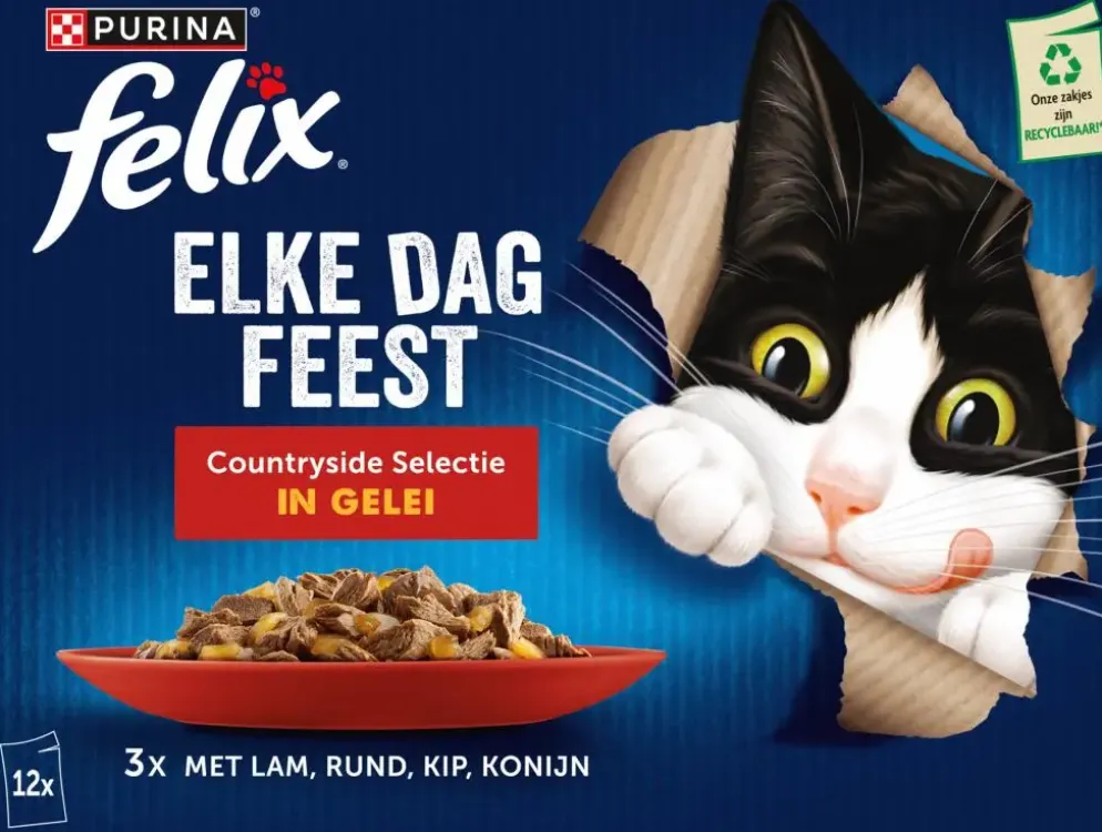 FELIX Elke Dag Feest Countryside Selectie in Gelei kattenvoer 12x85g