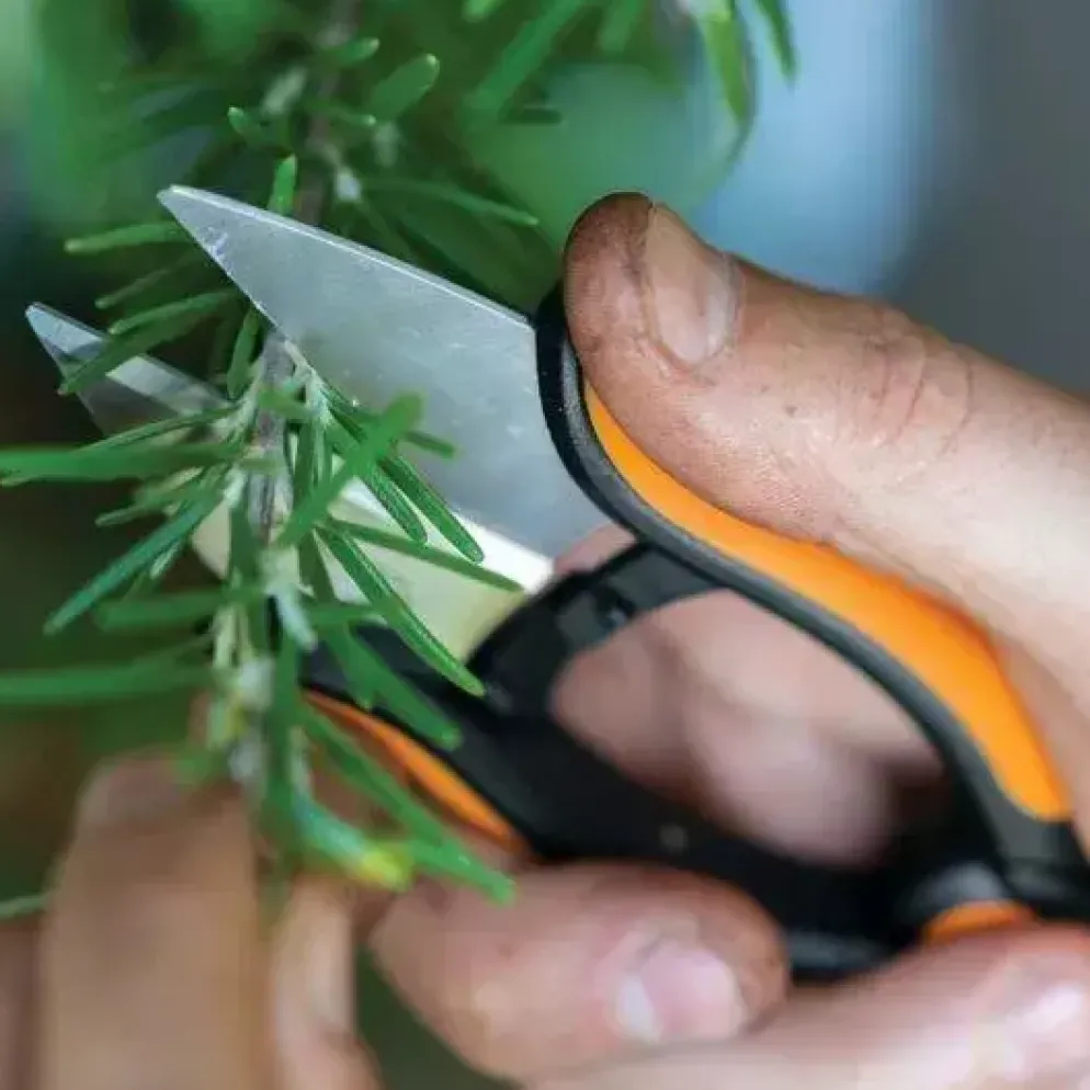 Fiskars Solid Snip kruidenschaar SP220