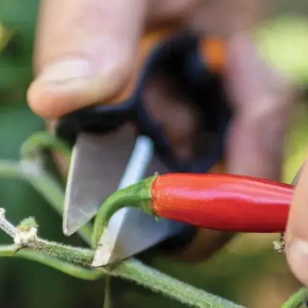 Fiskars Solid Snip kruidenschaar SP220