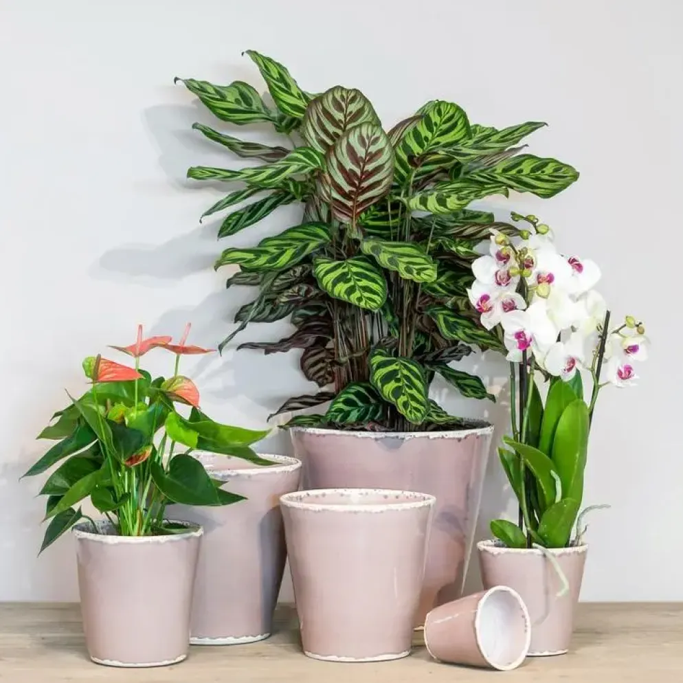 Floran Bloempot Luz 13x13cm Lila