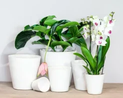 Floran Bloempot Luz 13x13cm Wit