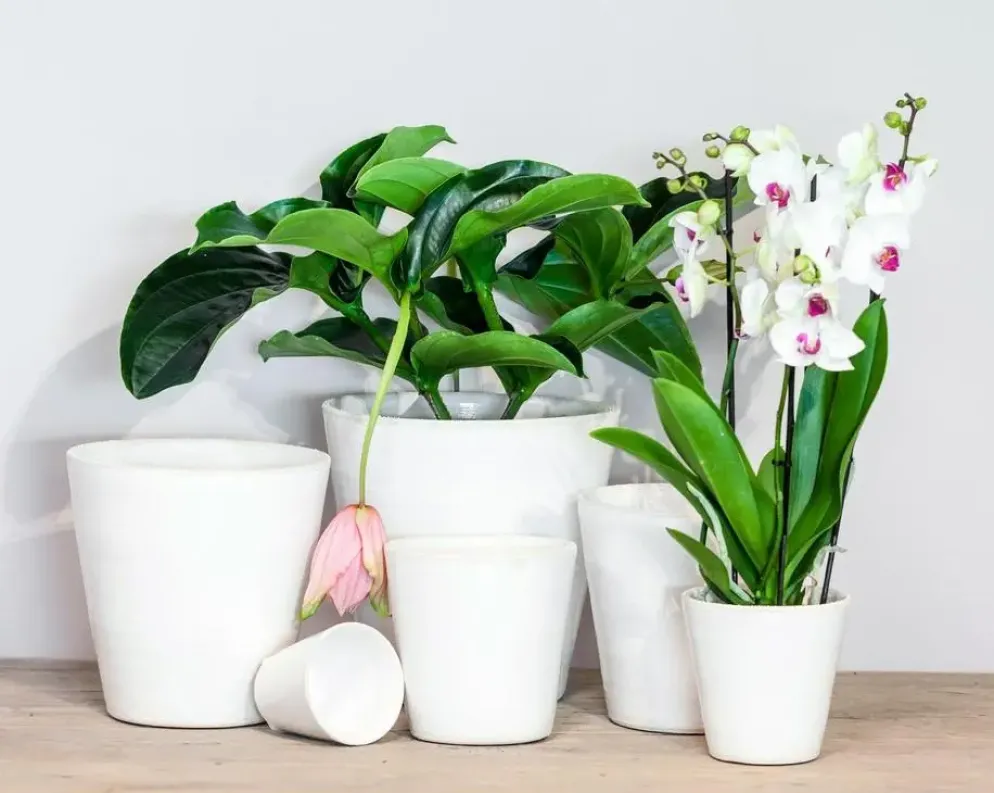 Floran Bloempot Luz 13x13cm Wit