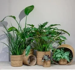 Floran Mand zeegras cilinder 25x24cm