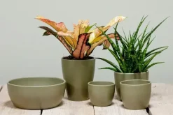 Floran schaal Boule 18.5x8.5cm legergroen mat