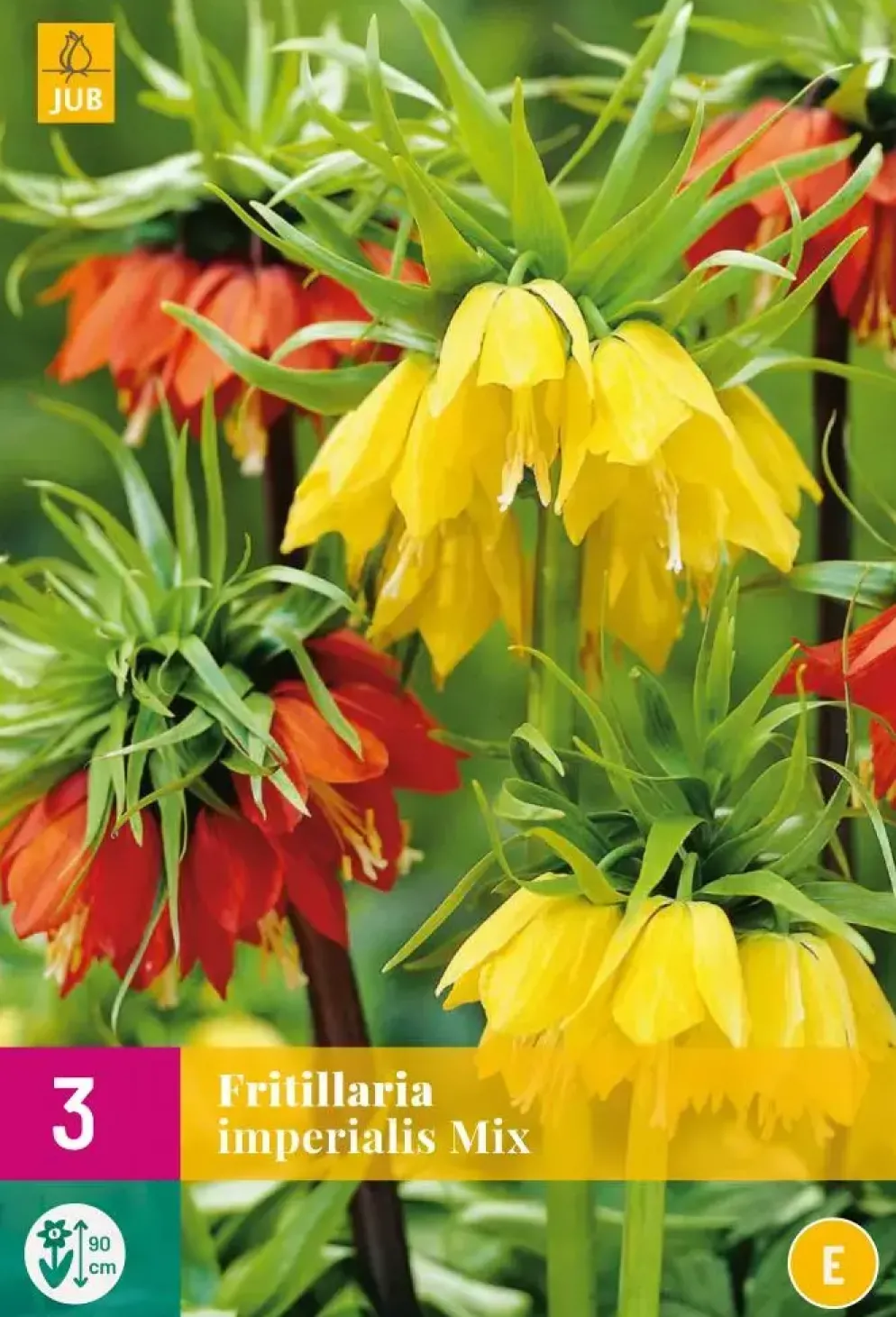 Fritillaria imperialis mix 3 stuks