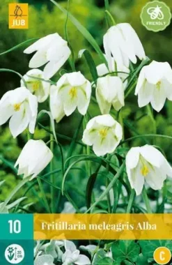Fritillaria meleagris Alba 10 stuks