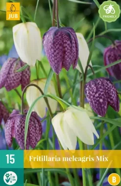 Fritillaria meleagris mix 15 stuks