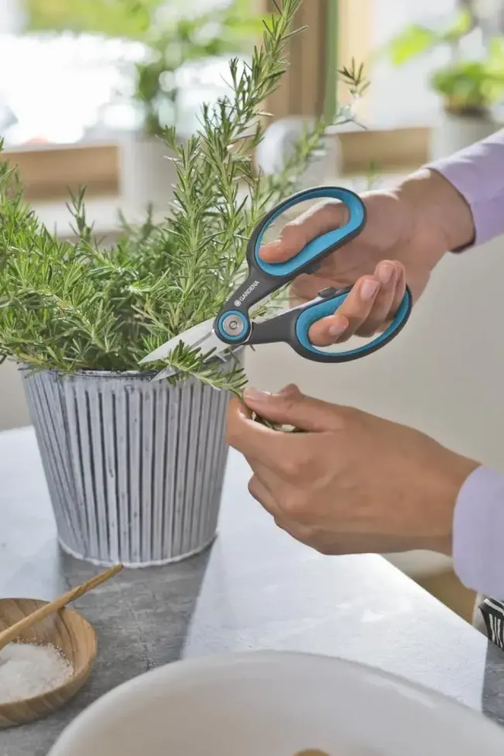 Gardena HerbCut